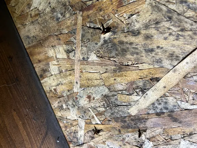 Spotting across OSB roof sheathing